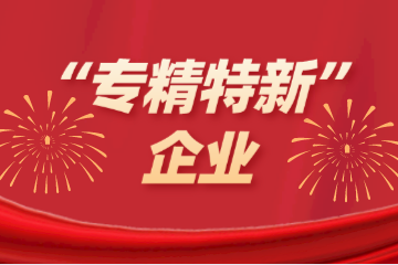 喜訊！遠望信息入選浙江省“專(zhuān)精特新”企業(yè)名單